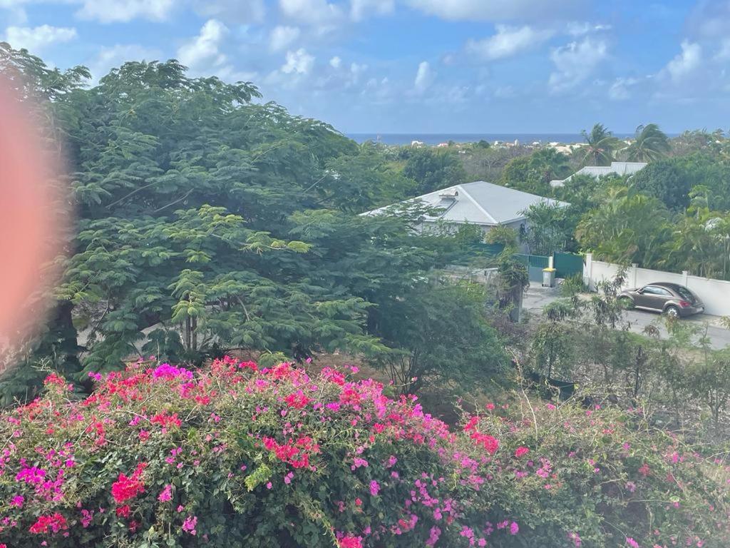 Villa Ste Marthe Avec Piscine, Grande Terrasse, Jardin Intime Et Citerne D'Eau Saint-Francois  Dış mekan fotoğraf
